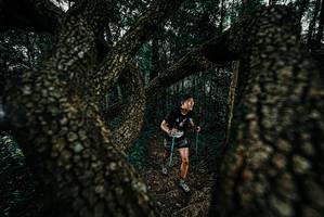 BIB: 
                            <button type="button" onclick="openModal(25678476)" class="btn btn-primary btn-sm float-right btn-popup" data-toggle="modal" data-target=".modal-high-quality">
                        <i class="fas fa-shopping-cart"></i> Add to Cart
                    </button>
                                            <button type="button" onclick="isThisMe(25678476, true)" class="btn btn-success btn-sm float-right btn-popup btn-isme hidden" data-toggle="tooltip" data-placement="bottom" title="นี่คือรูปของคุณใช่ไหม คลิกที่นี่เพื่อเอาเข้าอัลบั้ม">
                        <i class="fas fa-plus"></i> Add to album
                    </button>
                    <button type="button" onclick="isThisMe(25678476, false)" class="btn btn-warning btn-sm float-right btn-popup btn-isnotme hidden">
                        <i class="fas fa-ban"></i> Remove from album
                    </button>